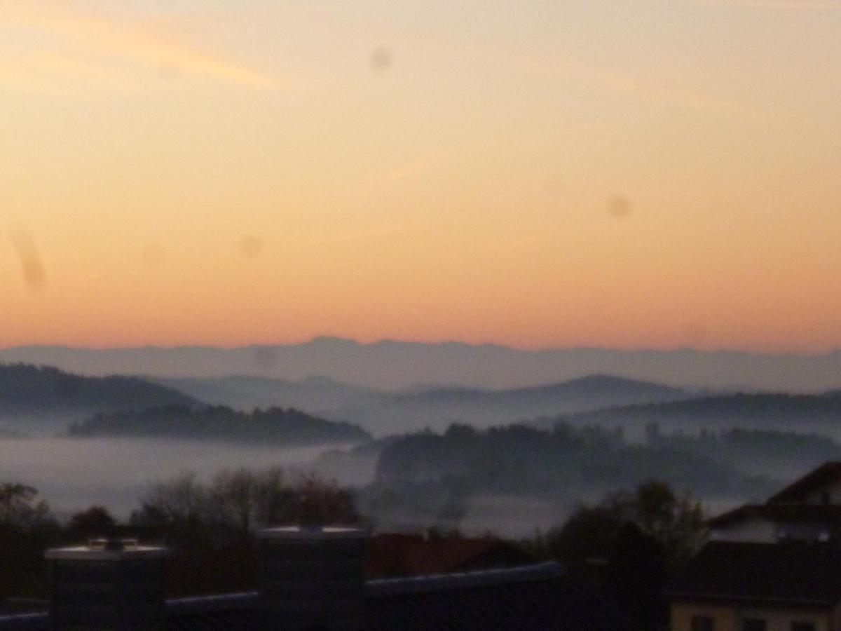 Ferienwohnungen Alpenblick Mit Garten -Panoramasauna- Kirchdorf im Wald Exterior foto