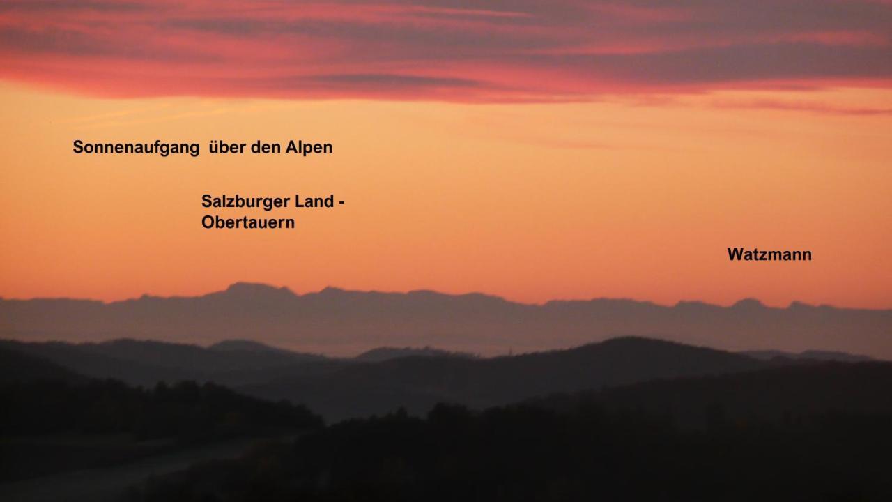 Ferienwohnungen Alpenblick Mit Garten -Panoramasauna- Kirchdorf im Wald Exterior foto
