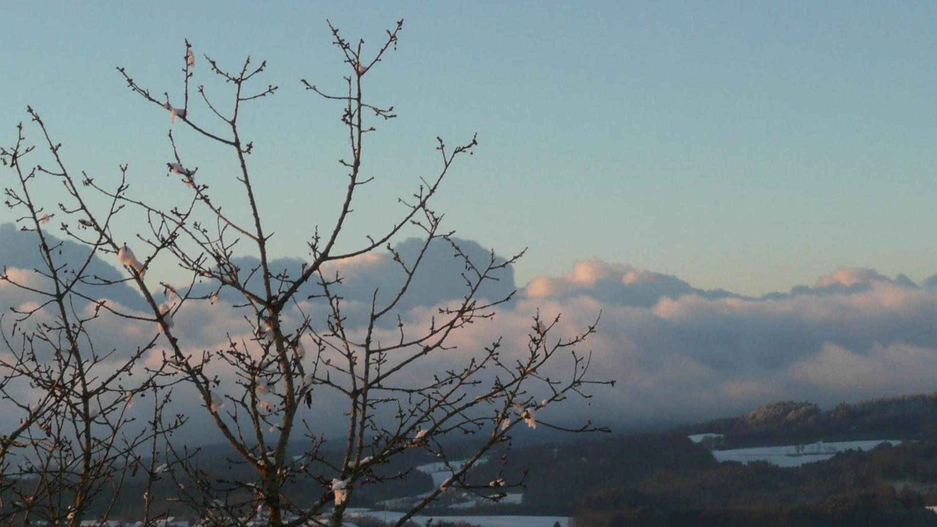 Ferienwohnungen Alpenblick Mit Garten -Panoramasauna- Kirchdorf im Wald Exterior foto